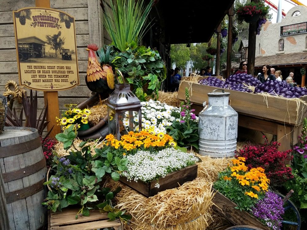 Knotts Berry Farm Boysenberry Festival 2017