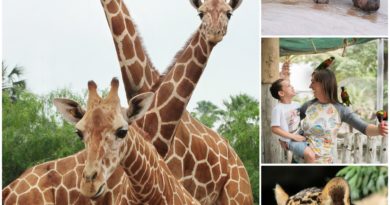 San Antonio Zoo: Free Admission for First Responders in September