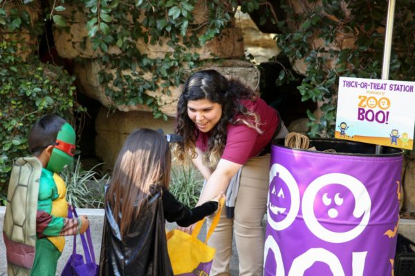 San Antonio Zoo Boo! 2018