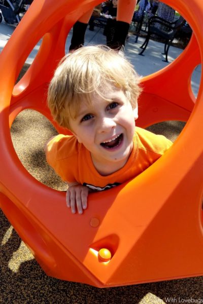 Landscape Structures - Inclusive All Abilities Playgrounds