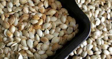 How to Roast Pumpkin Seeds + 10 Seasoning Ideas