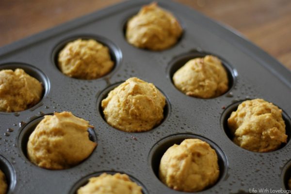 3 Ingredient Pumpkin Spice Muffins