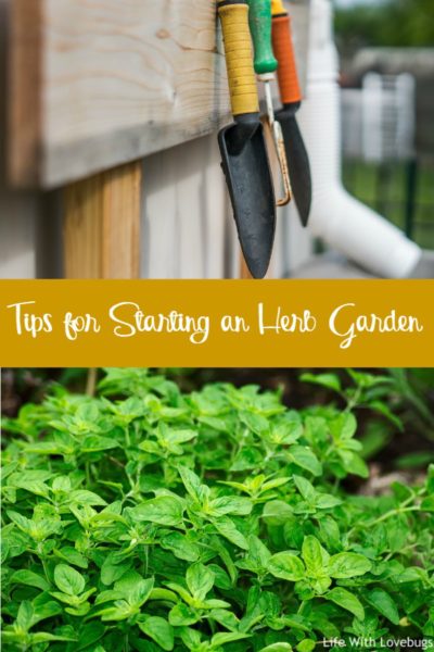 Tips for Starting an Herb Garden