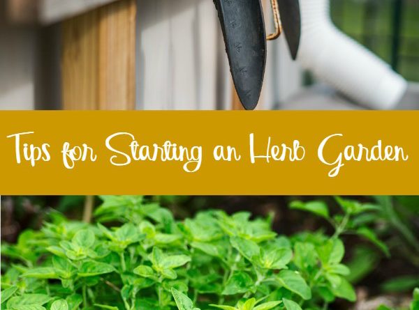 Tips for Starting an Herb Garden