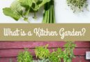 What is a Kitchen Garden?