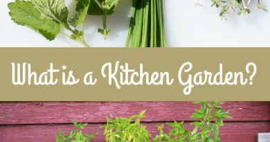 What is a Kitchen Garden?