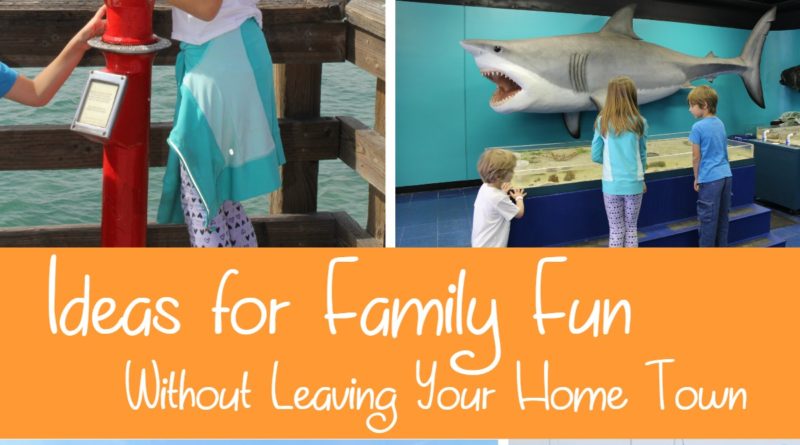 Ideas for Family Fun Without Leaving Your Home Town