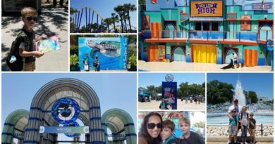 SeaWorld San Antonio - Summer 2019