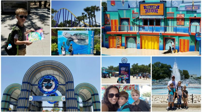 SeaWorld San Antonio - Summer 2019