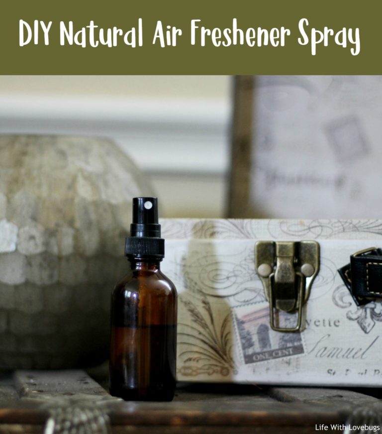 DIY Natural Air Freshener Spray Life With Lovebugs   DIY Natural Air Freshener 768x872 