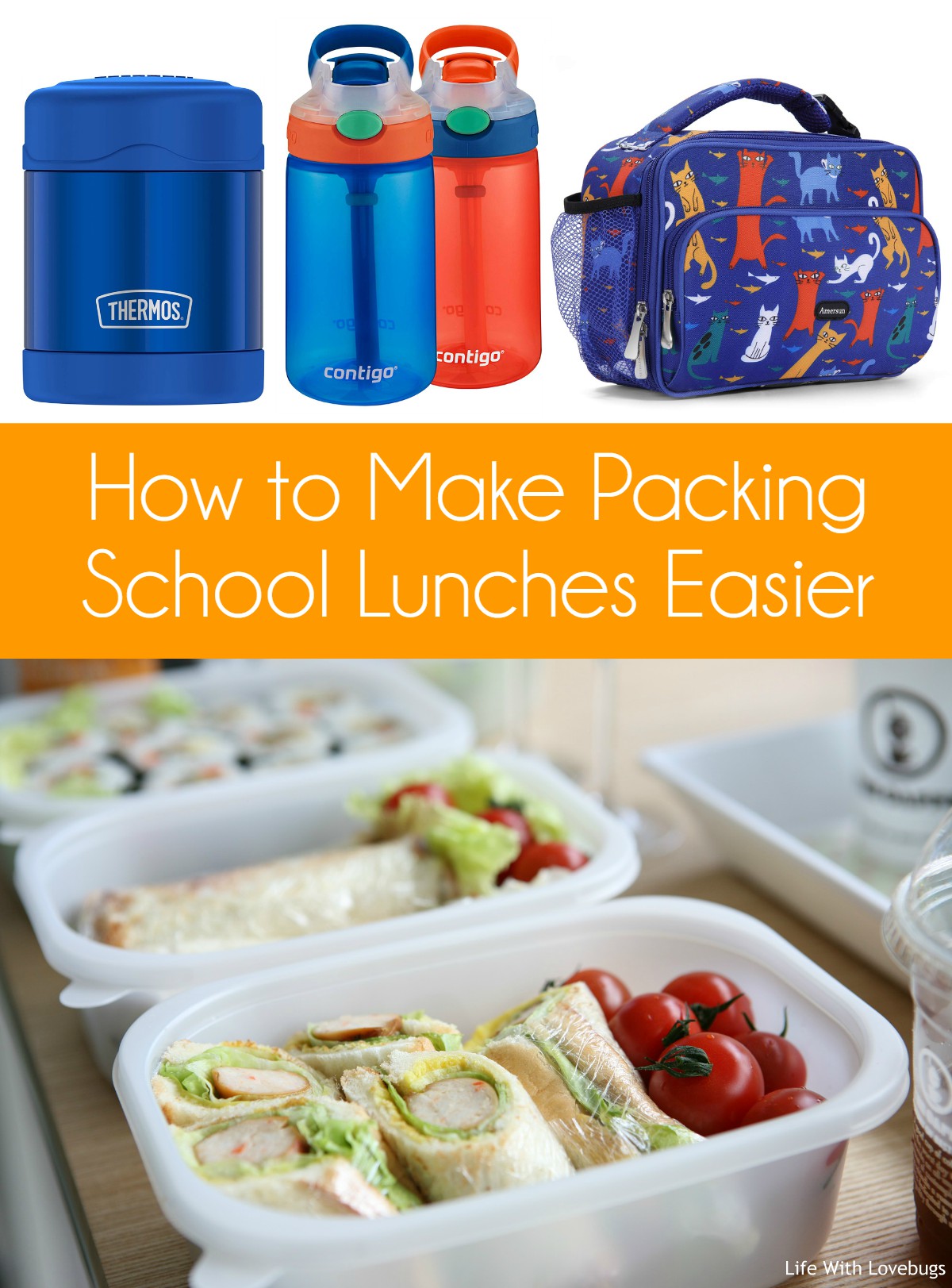 Packing School Lunches for Kids