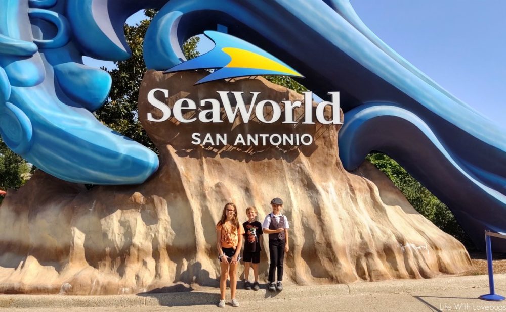 SeaWorld San Antonio Halloween Spooktacular 2019